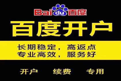 百度竞价SEM：成功案例解析与效果评估